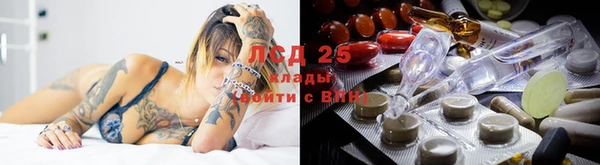 стаф Балахна