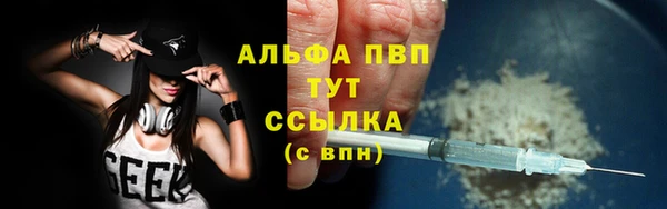 шишки Баксан