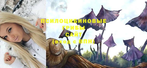 2c-b Лиски