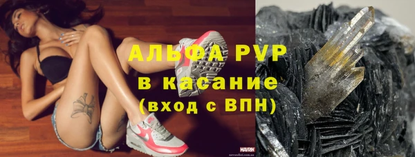 стаф Балахна