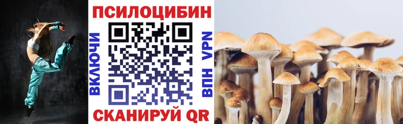 сайты даркнета телеграм Сегежа Галлюциногенные грибы прущие грибы купить наркотики сайты