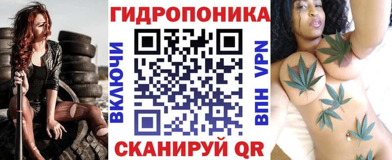 маркетплейс официальный сайт  Сегежа  Конопля Bruce Banner  где купить наркотик  MEGA ТОР 